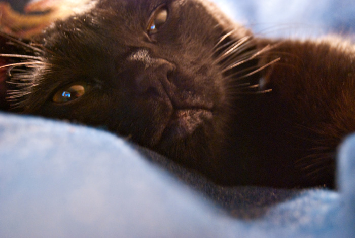 It's a tough life.