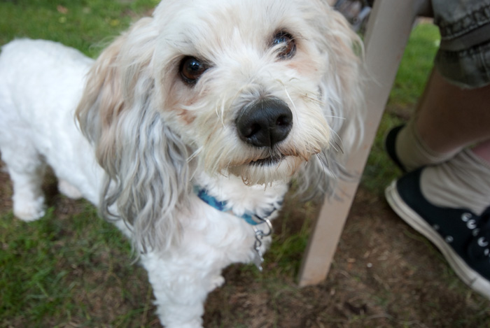 He's a cute little guy. He's a cute little guy.