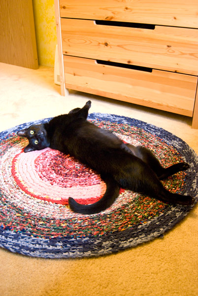 Oscar-rug-blog