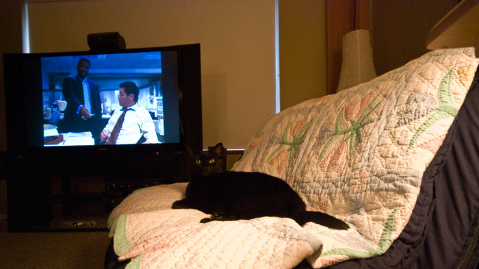 Hanging with The Wire