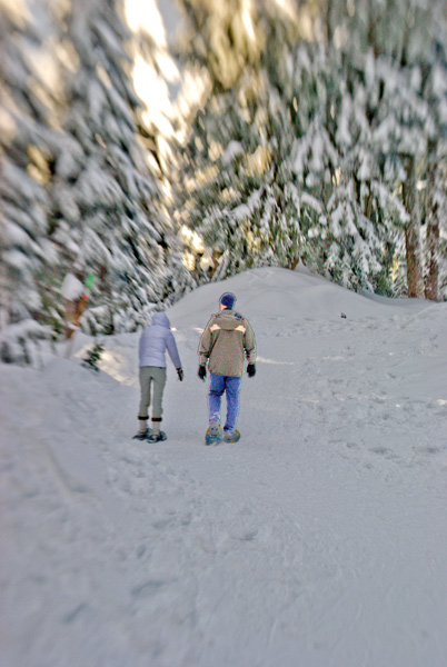 snow-dreaming-blog