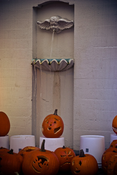 I like the matching fountain pumpkin.