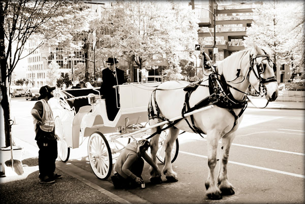 Please let this be a gypsy wedding!