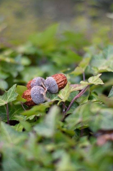 Glitter acorns