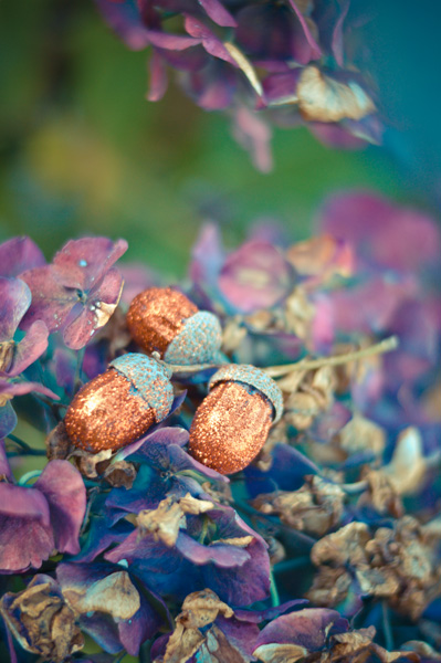 Pretty in the hydrangeas!
