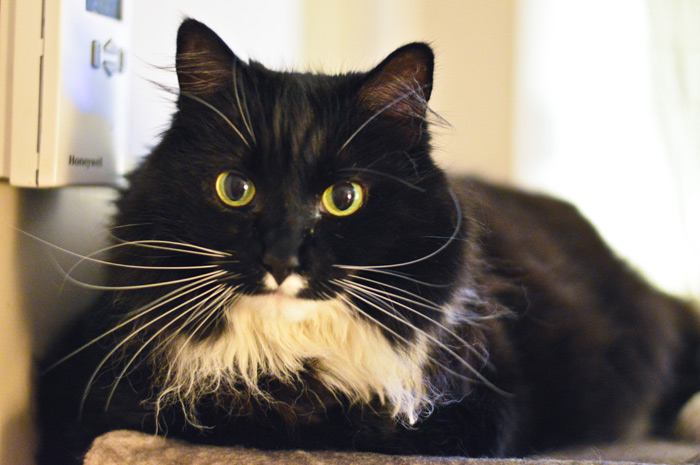 Nakita